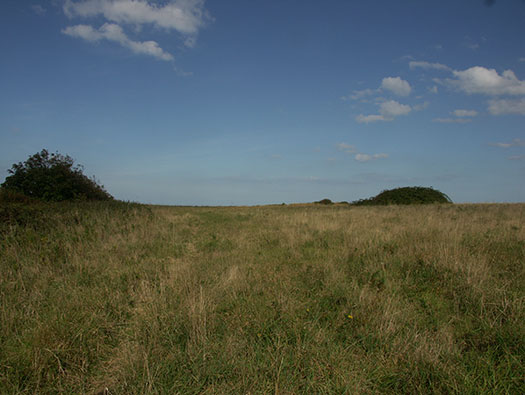 Wn71 Vierville-sur-Mer