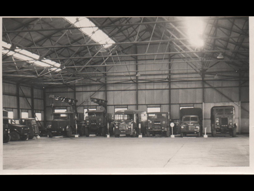 'F' Type Synthetic Trainers
