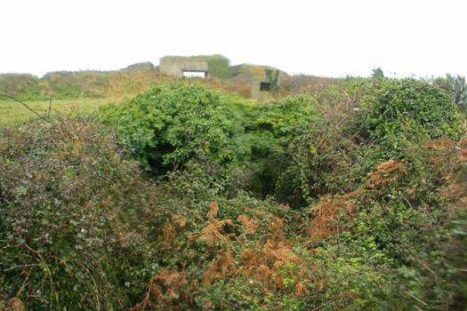 Re137, Pointe St Mathieu.