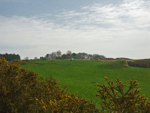 Die010 Mont Robin
