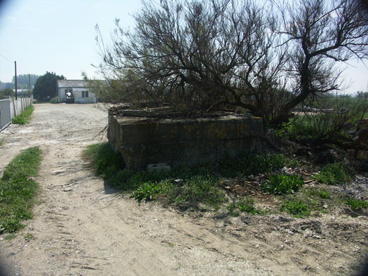 Wn81
Grandcamp-Maisy ouest,
