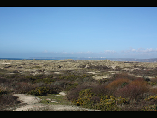 Wn318 Heauville Plage