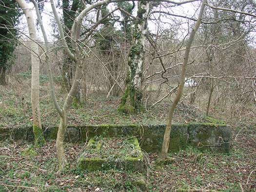 D3 Yellowham Wood