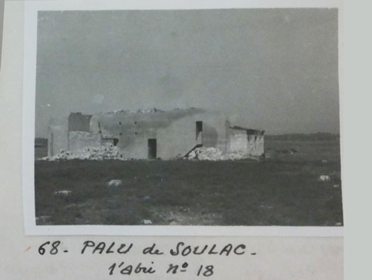 Gi326 Moutardier 'Insterburg'