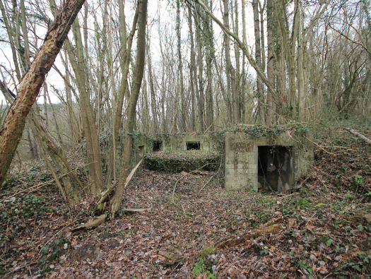 Führerhauptquartier ‘Wolfsschlucht 2’ Flakstellung ‘7’