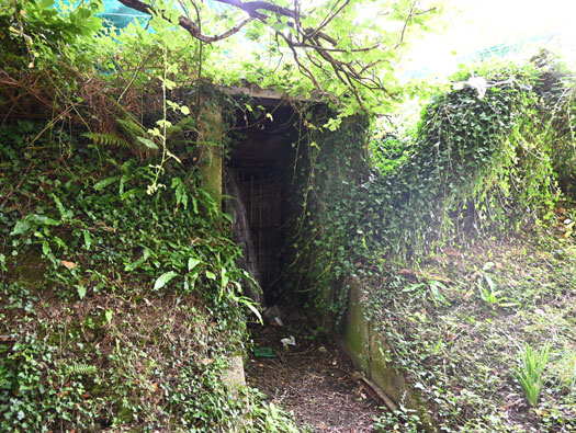 Wn28 
  Quettehou ville +
Quettehou Allée de L'Église Batterie