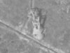 Water tower in 1953 and was shot out by American artillery in 1945.
