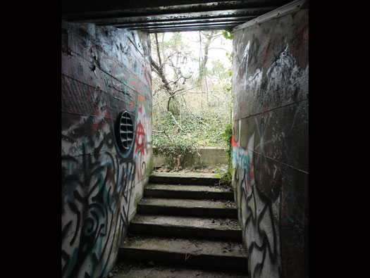 Gi09 Bon Anse 'Cosel' (North site)