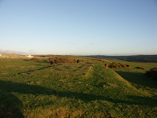 RAF Cleave