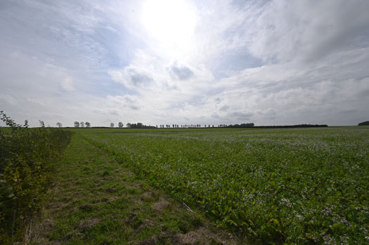 RAF Matlask