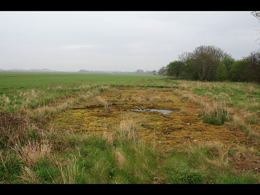 RFC/RAF Weston-on-the-Green