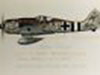 Fw190 German fighter.