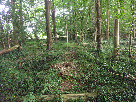 Camp D-7 Dorchester
