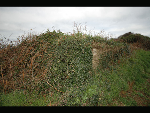 Wn346 Les Asselins la Gouinerie, Omonville la Rogue