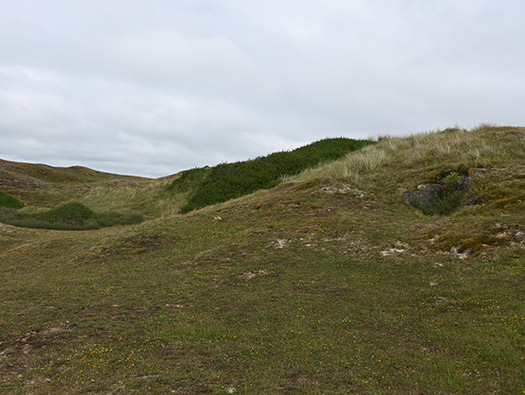 Wn333 St Remy des Landes Plage