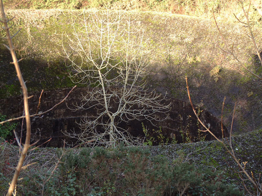Castel Vendon,  Batterie Française Tourville, (Souterrain).