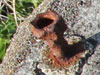 Tie down thread and nut.