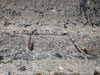 Steel reinforcement showing through the worn concrete..