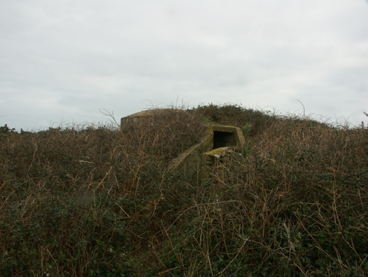 Pointe de Jardeheu  Wn304a
