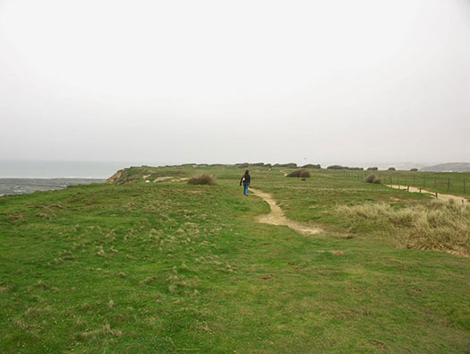 StP207 Fischreiher