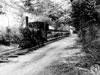 A camouflaged railway line in Manche.