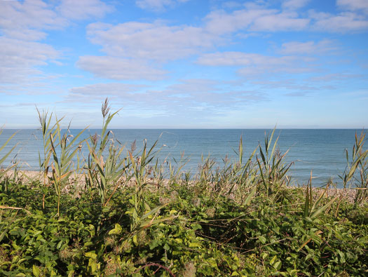 Wn60 Colleville-sur-Mer, (Omaha Beach)