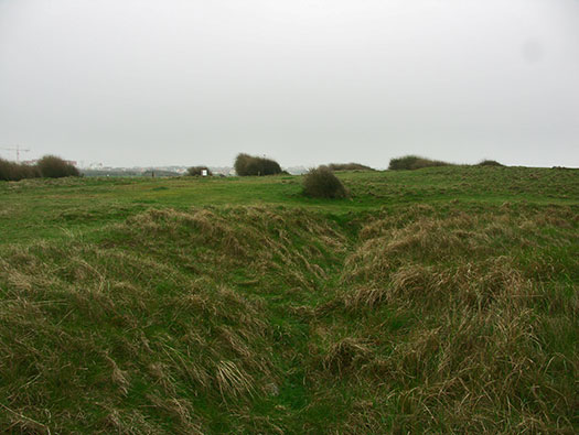 StP207 Fischreiher