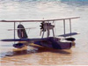 Supermarine Walrus.