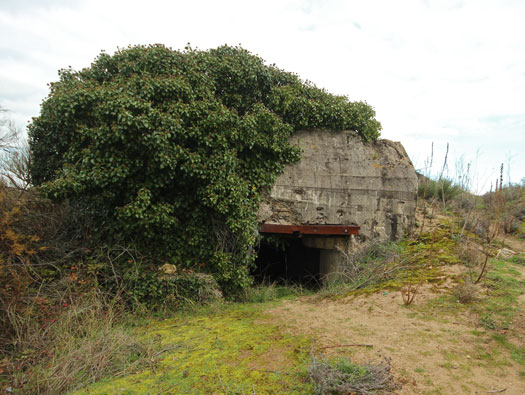 Gi325 Chenal de Neryan 'Trakehnen'