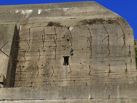 Nz406 BSM U Bunker