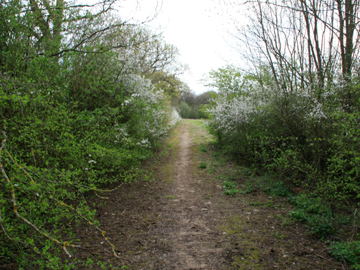 RAF Turweston