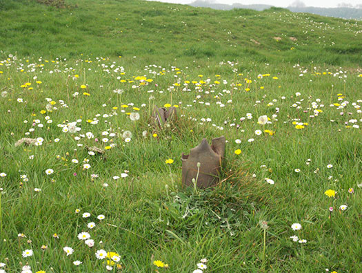 Die010 Mont Robin