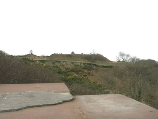 Wn241 Le Fort de Digosville (Fort des Roches)