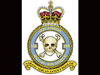 100 Squadron RAF.