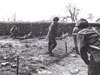 Fighting through gardens.