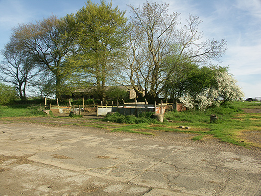 RAF Upottery
USAAF No. 462