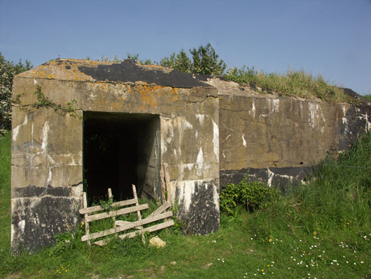 Wn99 Brévands le Châlet