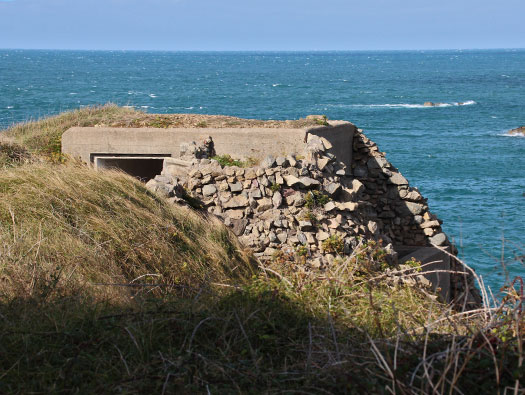 Alderney, M4 Wn 'Dohlenfest'