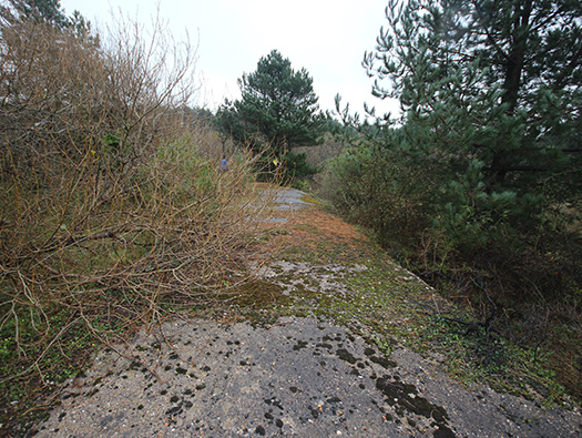 StP Orakel, St Gabriel est