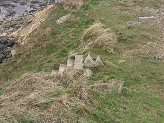 StP207 Fischreiher
