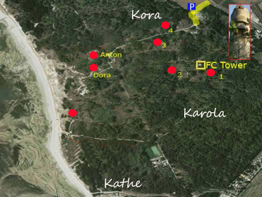Ro425 ´Kora´, Ro429 'Korola', Ro424 'Käthe', Ile de Ré