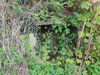 Niches, hard to see but are in a hedge for a batterie of the same type of gun, behind Arromanches.