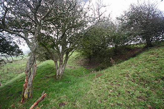 StP Ruin, Mont de Neufchâtel, Pas-De-Calais. PART 2