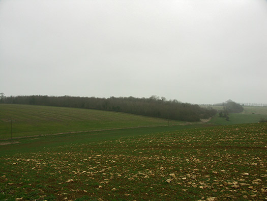 RAF Babdown Farm RLG