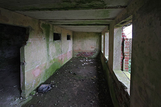 StP Ruine, Mont de Neufchâtel.