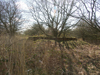 The second shelter.