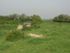 Wn99 Brévands le Châlet