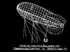 Vickers Kite Balloon