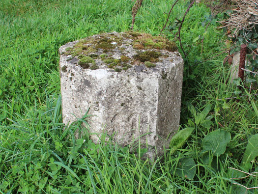 Wn Nz355 Camp de la Torpille