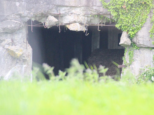 StP180 Schwarztal, Noirbernes